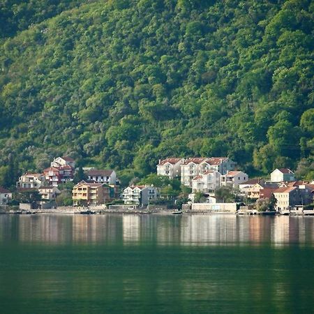 Ana Apartment Kotor Dış mekan fotoğraf