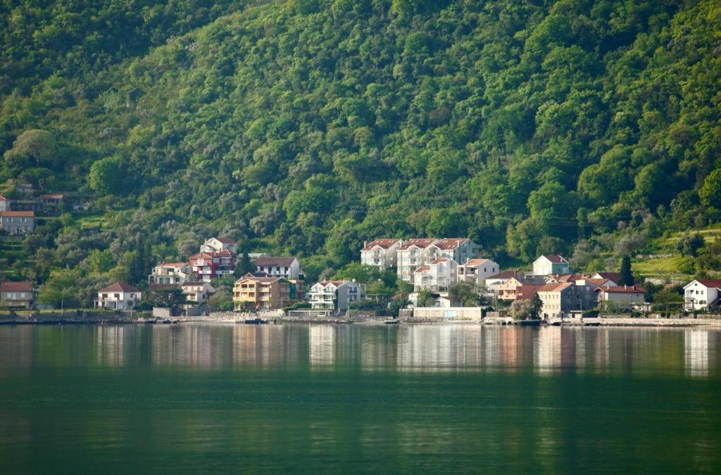 Ana Apartment Kotor Dış mekan fotoğraf